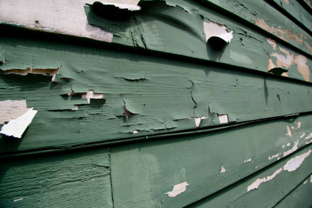 Best Commercial Junk Removal  in Campton Hls, IL