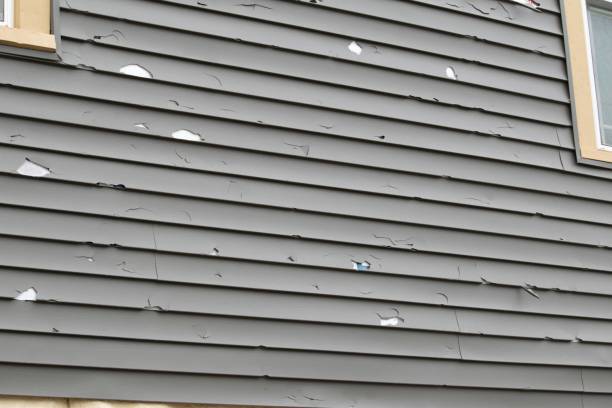 Best Property Management Cleanouts  in Campton Hls, IL
